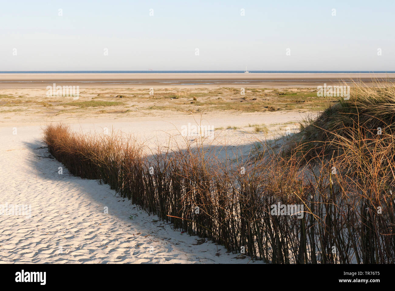 Sandpath al mare di Wadden, Paesi Bassi Schiermonnikoog Foto Stock