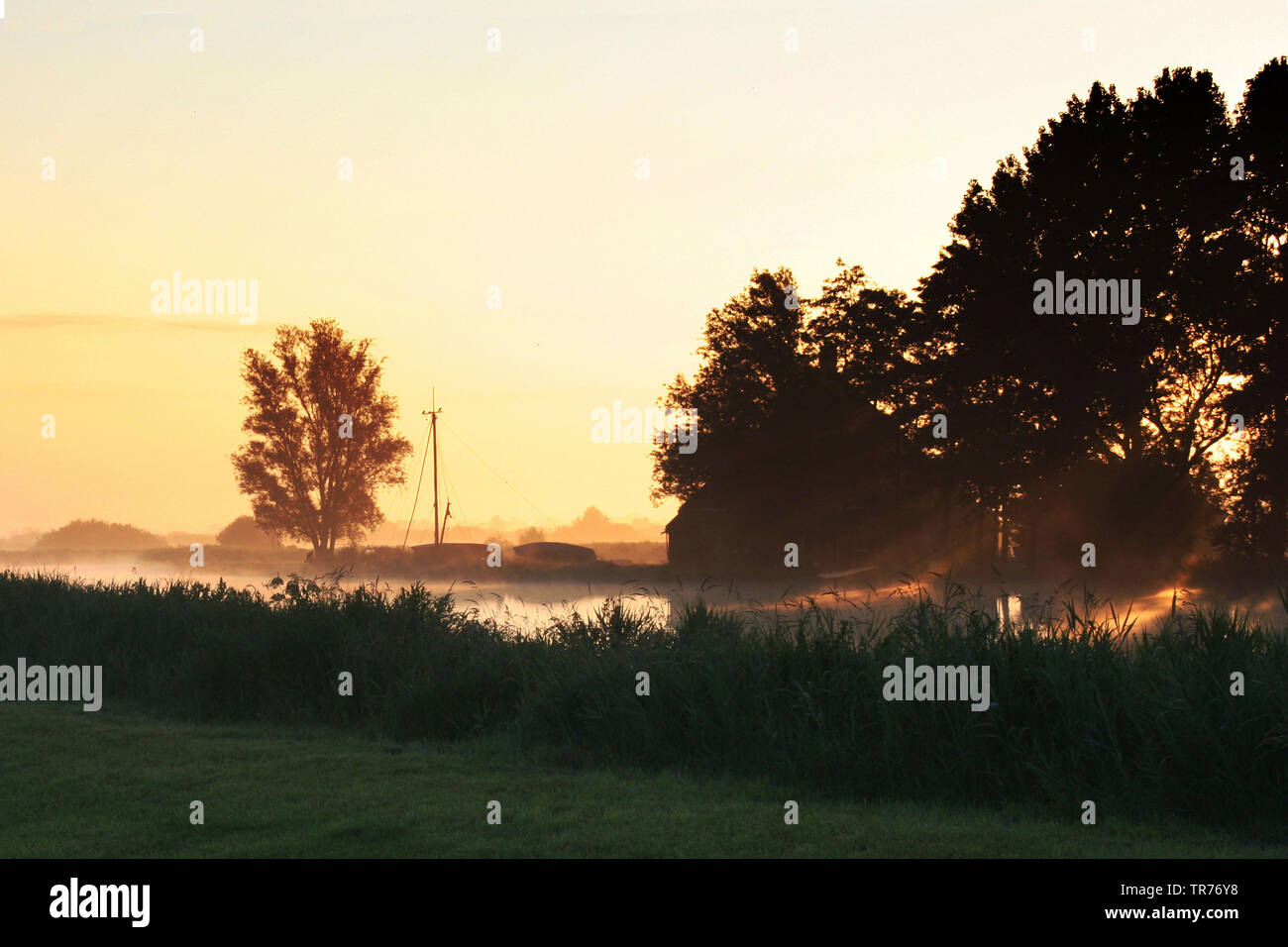 Tramonto nel parco nazionale, Paesi Bassi, De Oude Venen Parco Nazionale Foto Stock