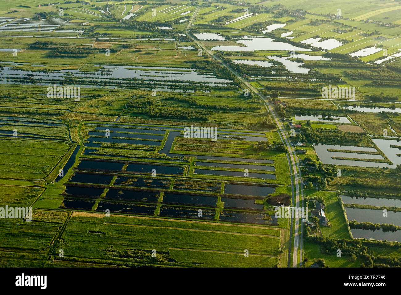 Campo allagato Paesaggio, Vista aerea, Paesi Bassi Paesi Bassi del Nord Foto Stock