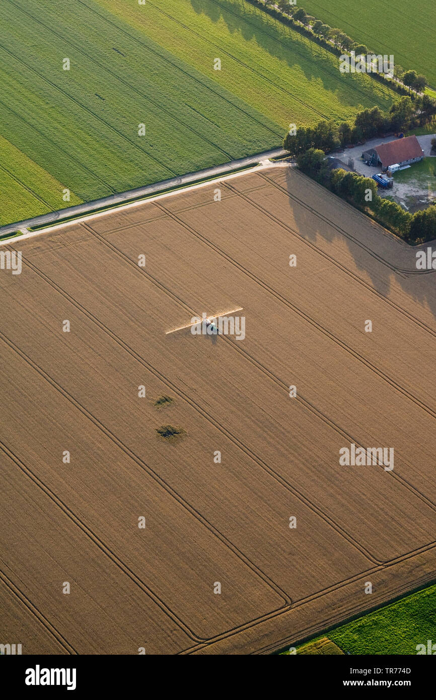 Utilizzo di pesticidi su un campo, vista aerea, Paesi Bassi, Paesi Bassi del Nord Foto Stock