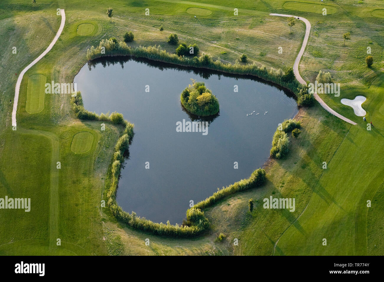 Campo da golf mit stagno in North Holland, vista aerea, Paesi Bassi, Paesi Bassi del Nord Foto Stock