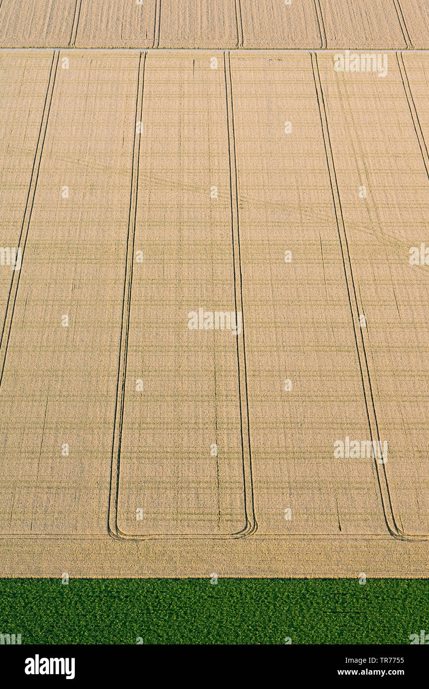 Il campo Tono di voce monotono paesaggio in North Holland, vista aerea, Paesi Bassi, Paesi Bassi del Nord Foto Stock