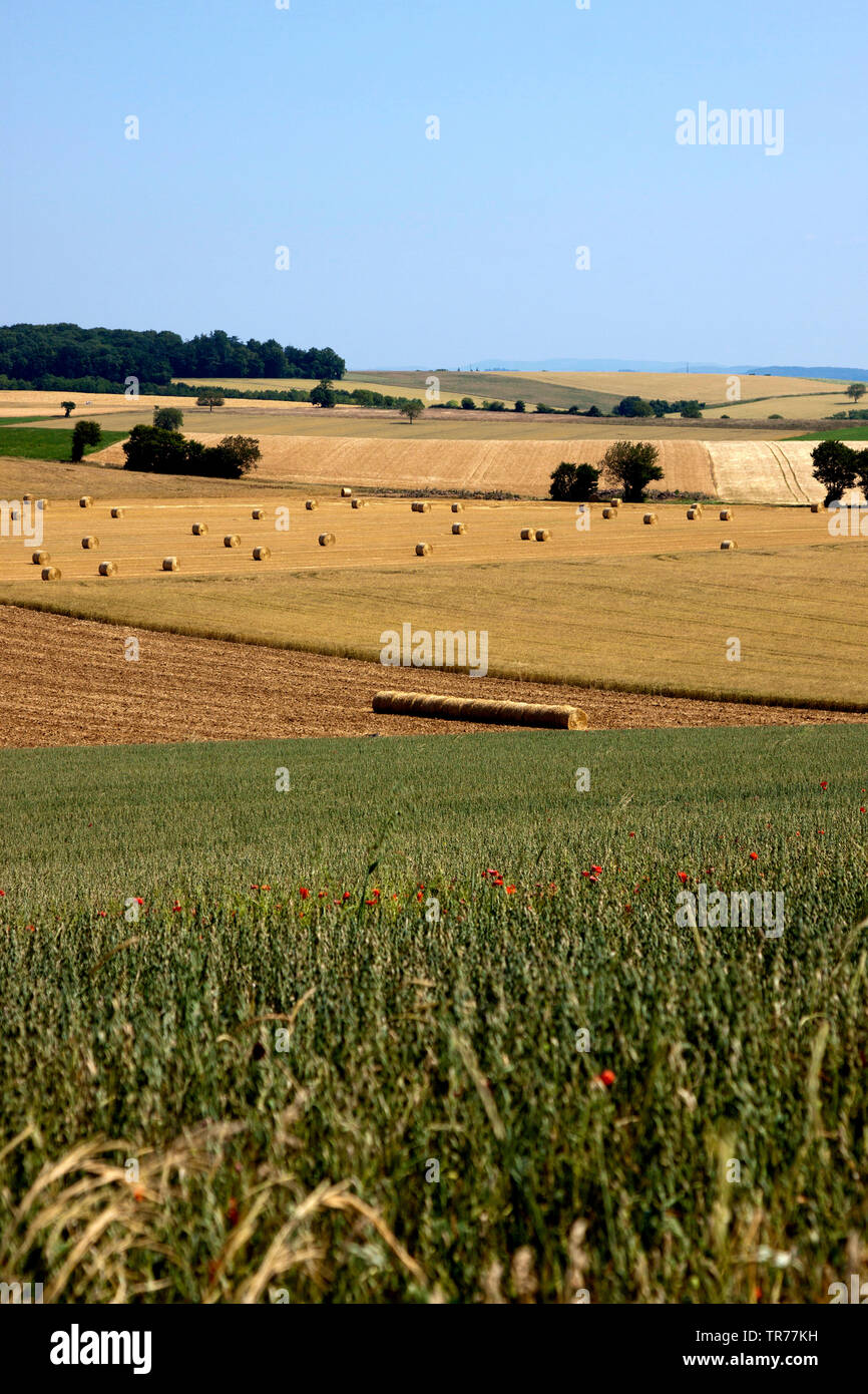 Hayballs sui prati falciati nel Morvan, Francia Foto Stock