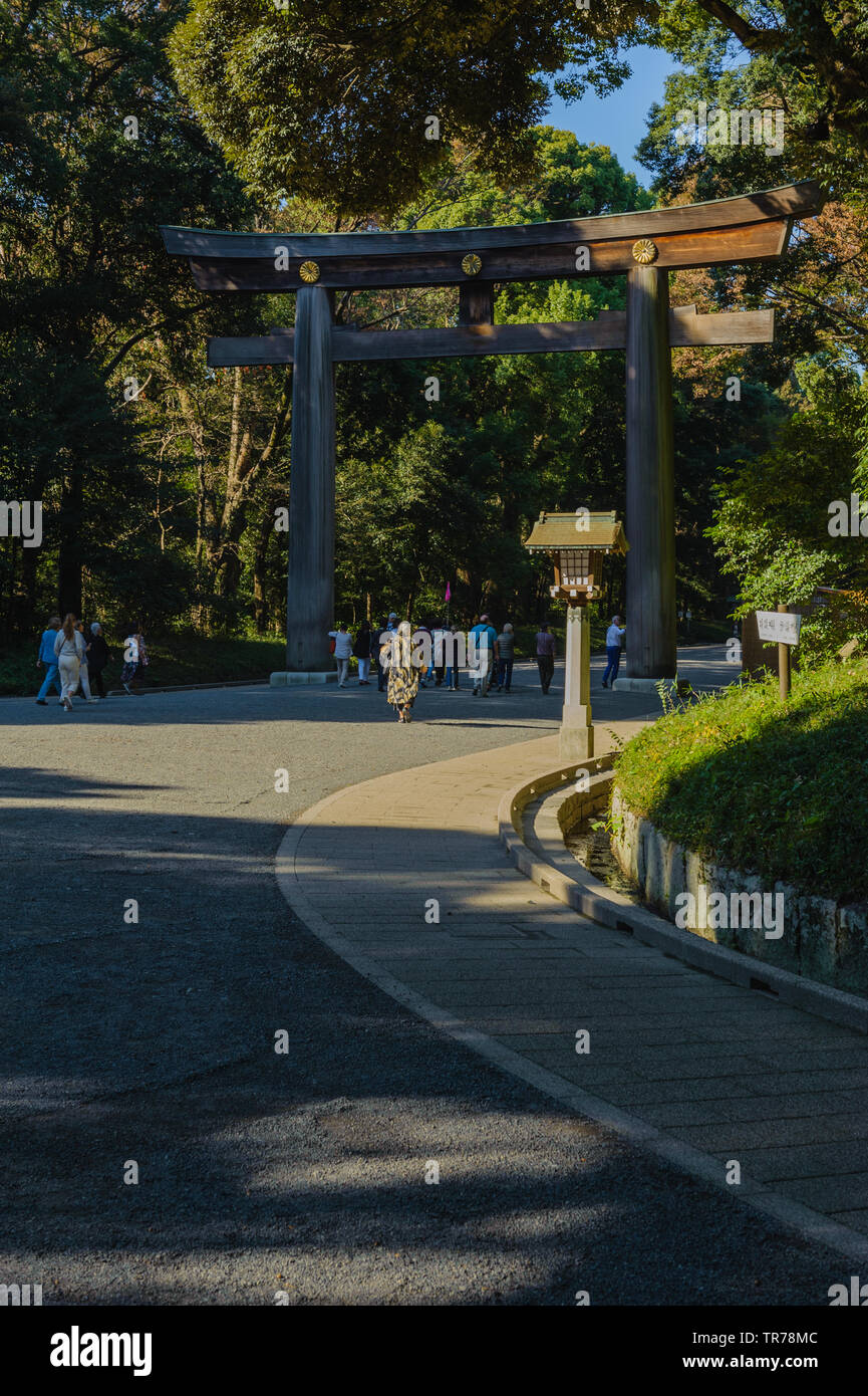 Grande Torii all'ingresso del Tempio di Meiji (Meiji-Jingu) nel cuore di Tokyo con crisantemo simbolo sulla parte superiore, Giappone Ottobre 2018 Foto Stock