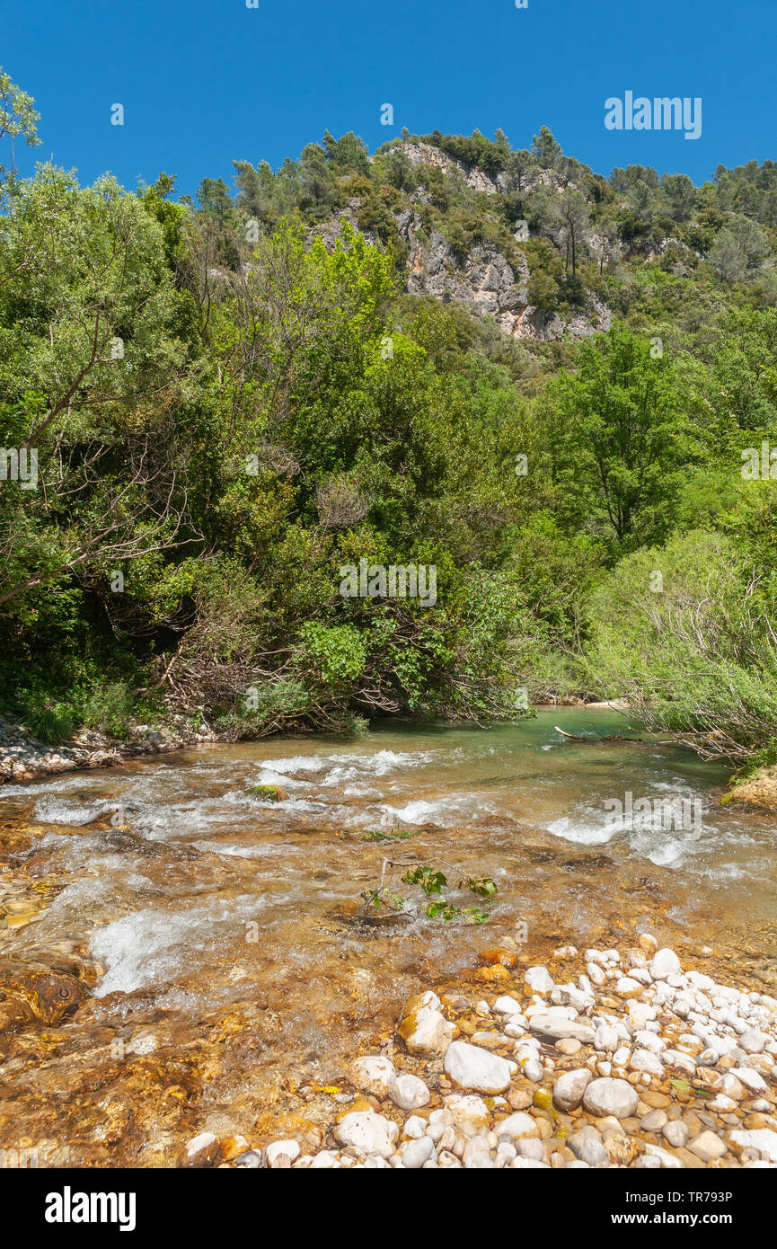 Scenario presso il fiume Siagne, Saint-Cezaire-sur-Siagne, Alpes-Maritim, Provence-Alpes-Côte d'Azur, in Francia, in Europa Foto Stock