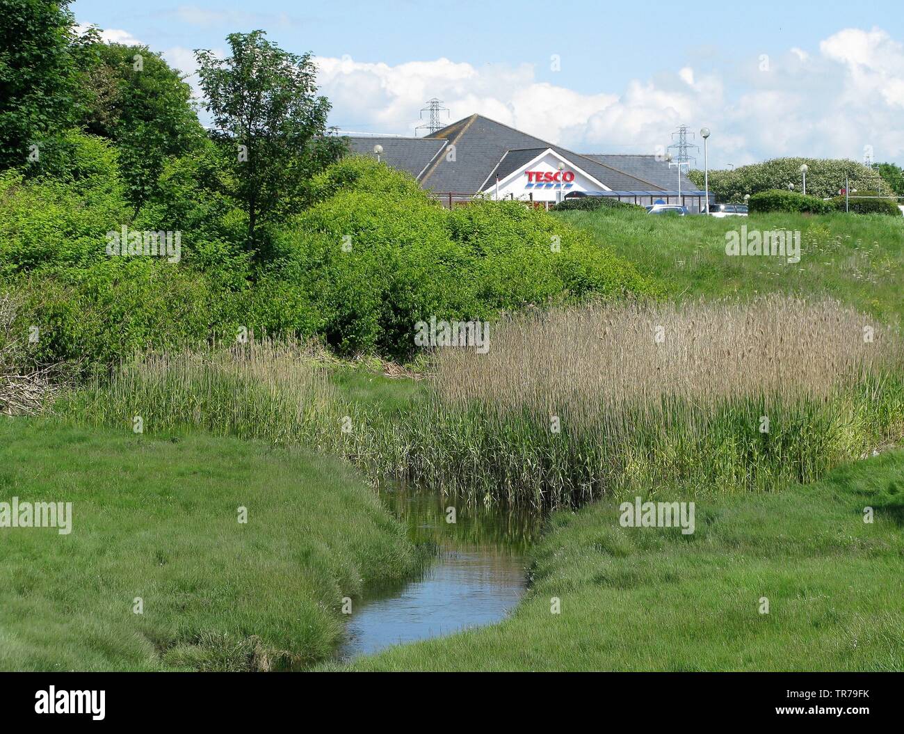 Workington supermercato Tesco con stream e il fogliame in primo piano, Cumbria, England, Regno Unito Foto Stock