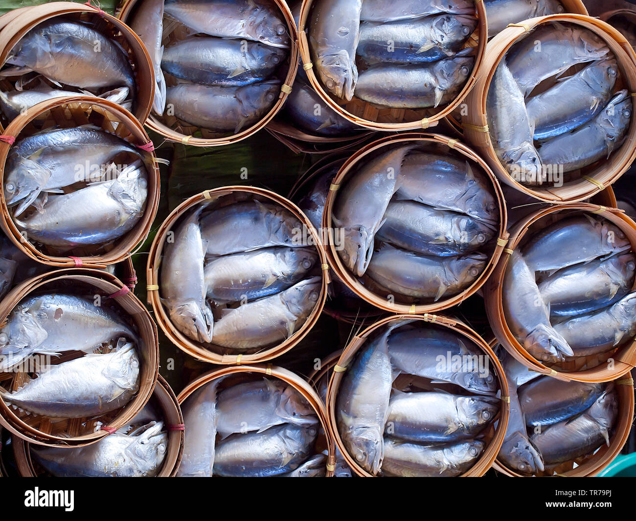 Cesto di sgombro cotto a vapore per vendere al mercato locale in Thailandia. Foto Stock