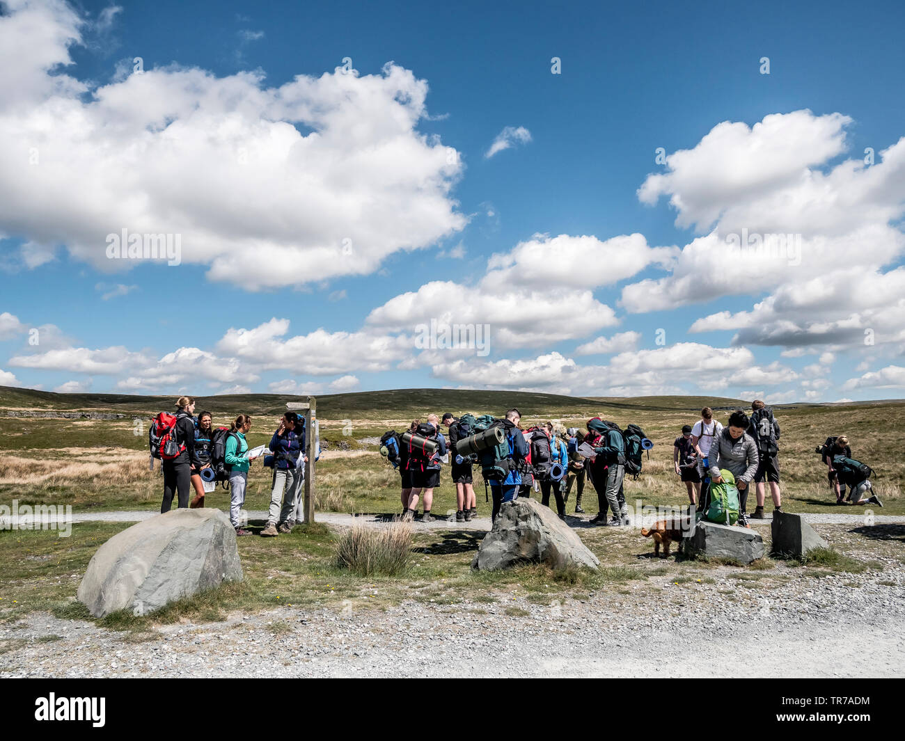 Un gruppo di adolescenti di impresa del Duca di Ediburgh del regime di premio per il montaggio sulla pista vicino al Ribblehead attraverso il condotto in Yorkshire Dales Foto Stock