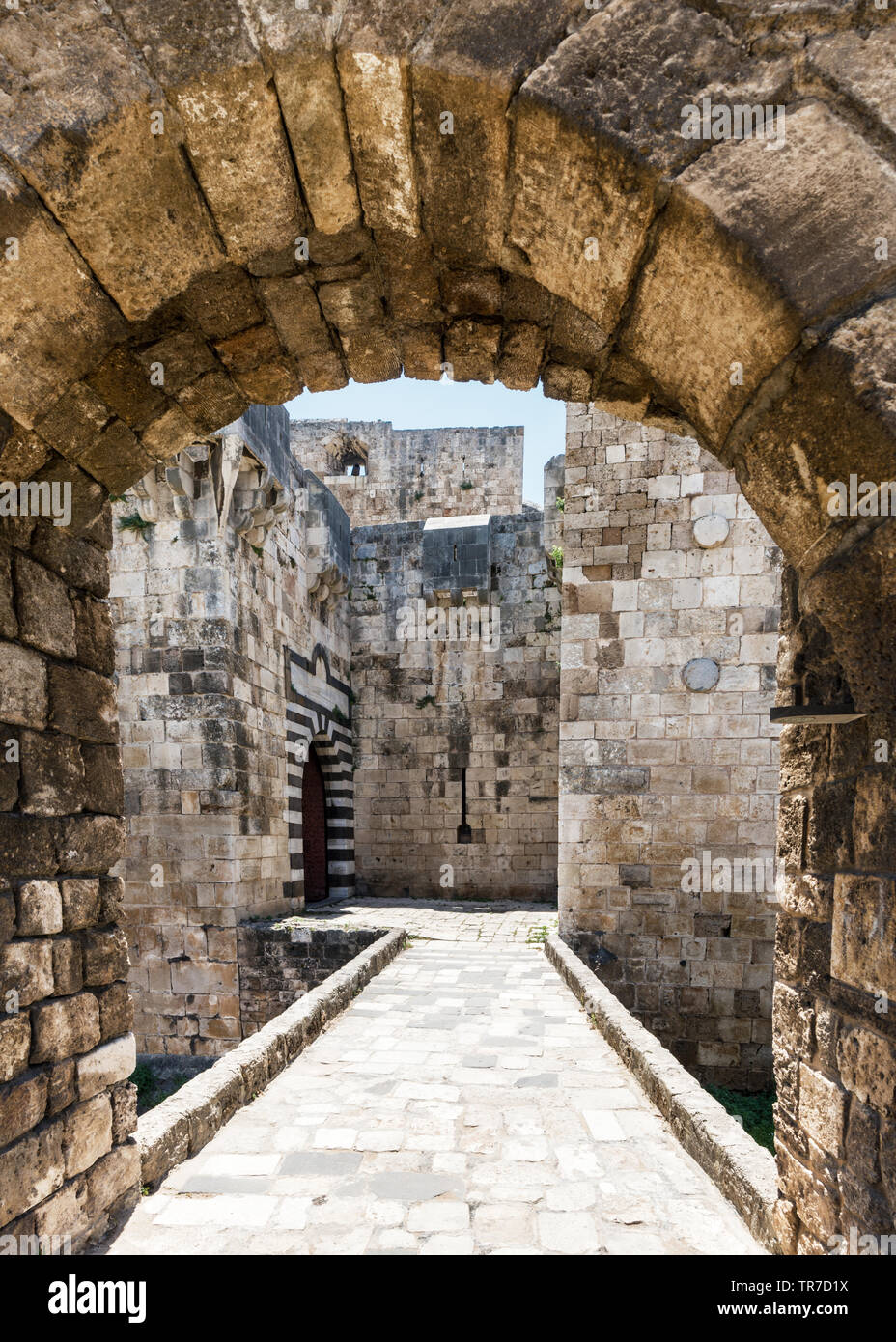 Cittadella di Raymond de Saint-Gilles, Tripoli, Libano Foto Stock