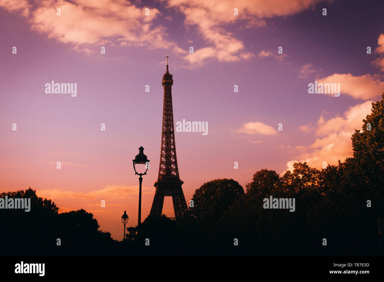 Torre Eiffel durante il crepuscolo, Parigi, Francia Foto Stock