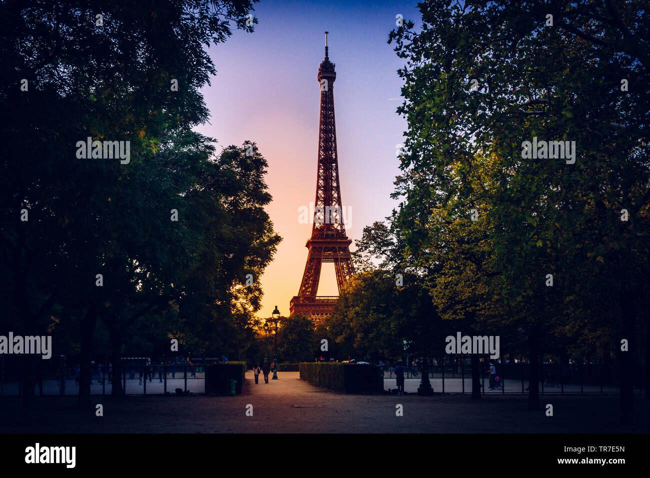 Torre Eiffel al tramonto dal Champ de Mars, Parigi, Francia Foto Stock