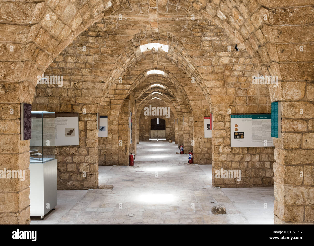 Il Nord del Libano & Akkar museo situato all'interno della Cittadella di Raymond de Saint-Gilles, Tripoli, Libano Foto Stock