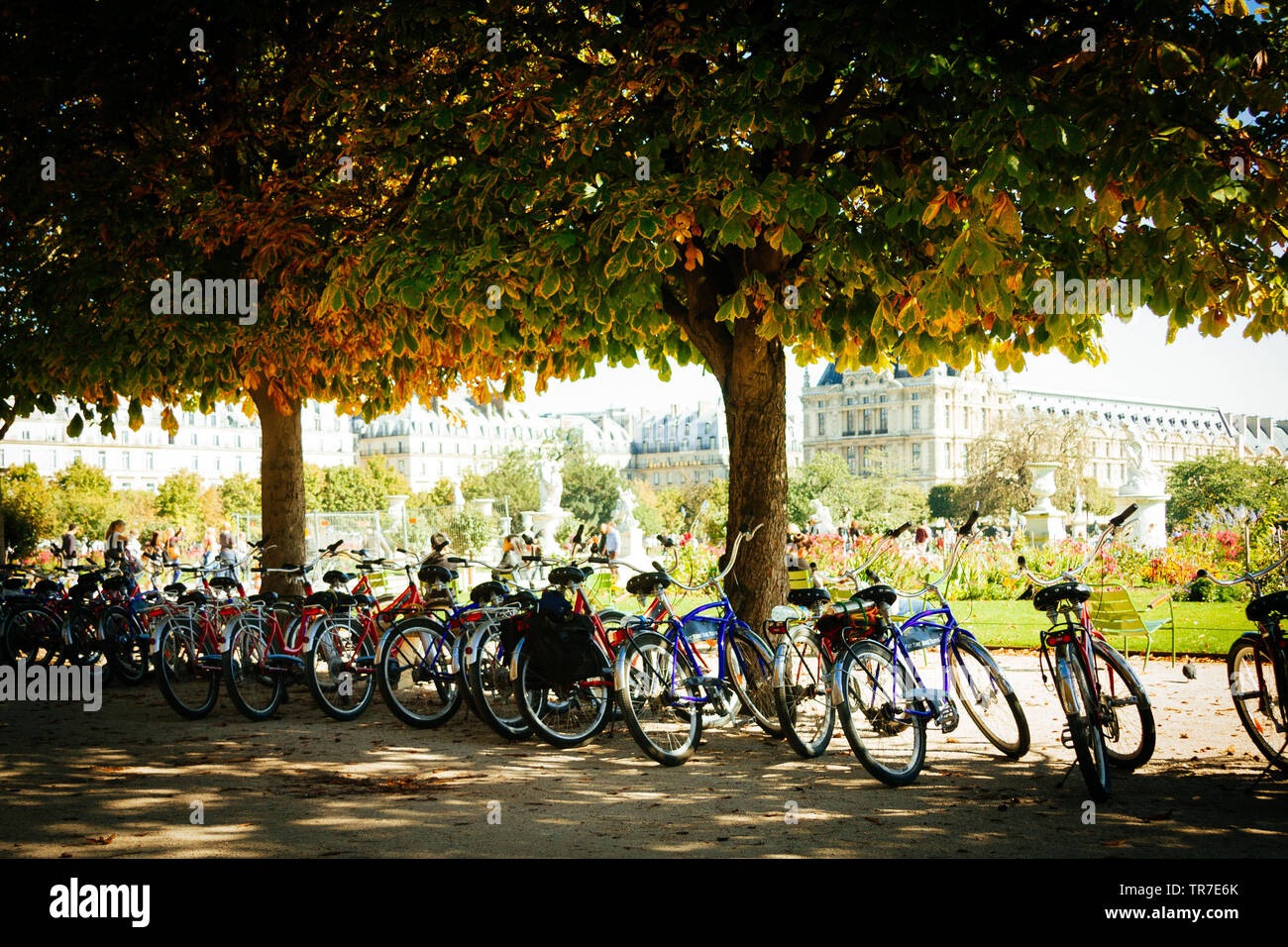Le biciclette nel Jardin des Tuileries, Parigi, Francia Foto Stock