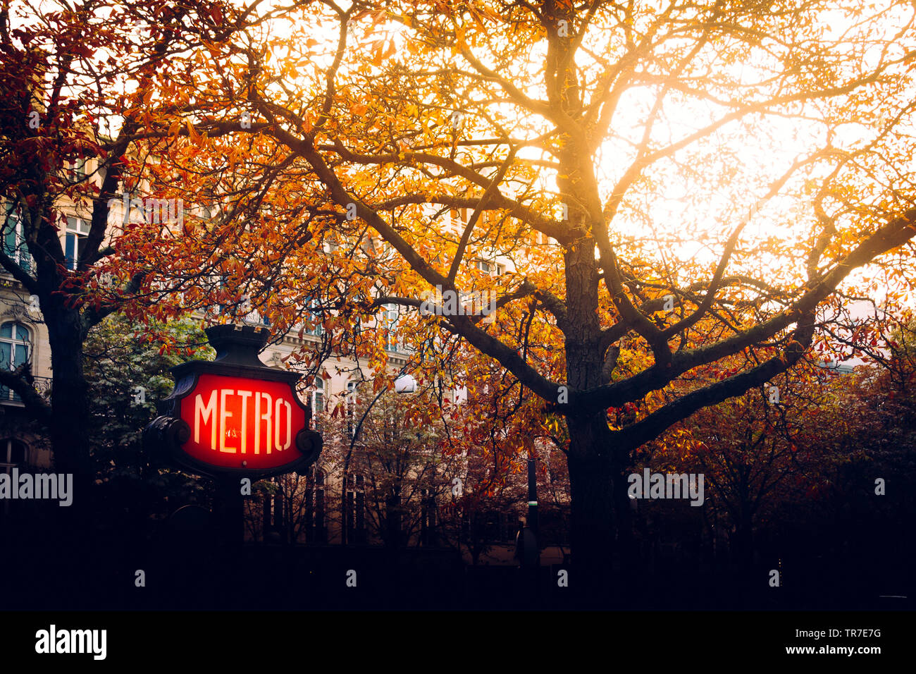 Parigi Metro sign in autunno Foto Stock