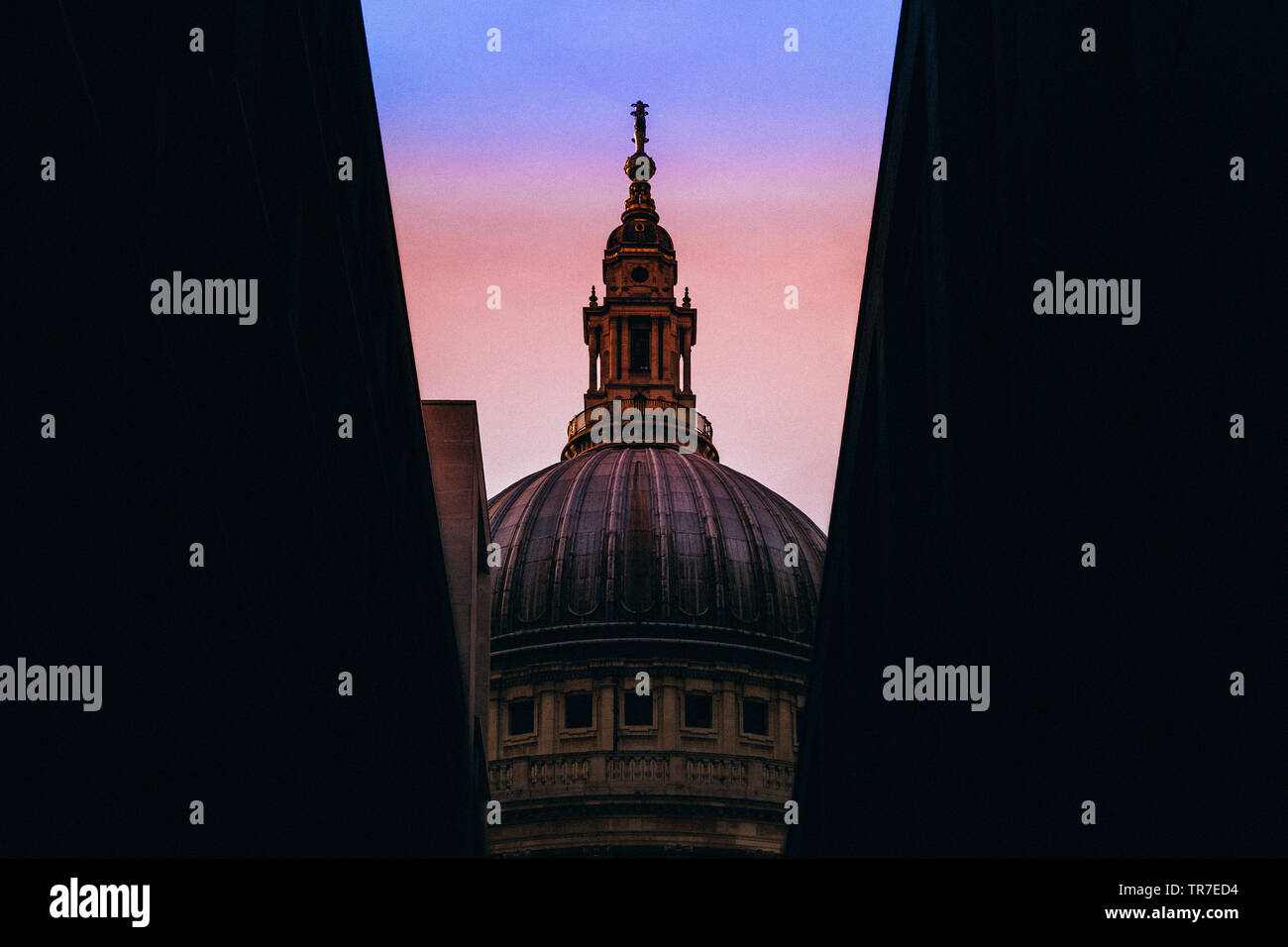 Cattedrale di San Paolo tra gli edifici al tramonto, Londra, Inghilterra Foto Stock
