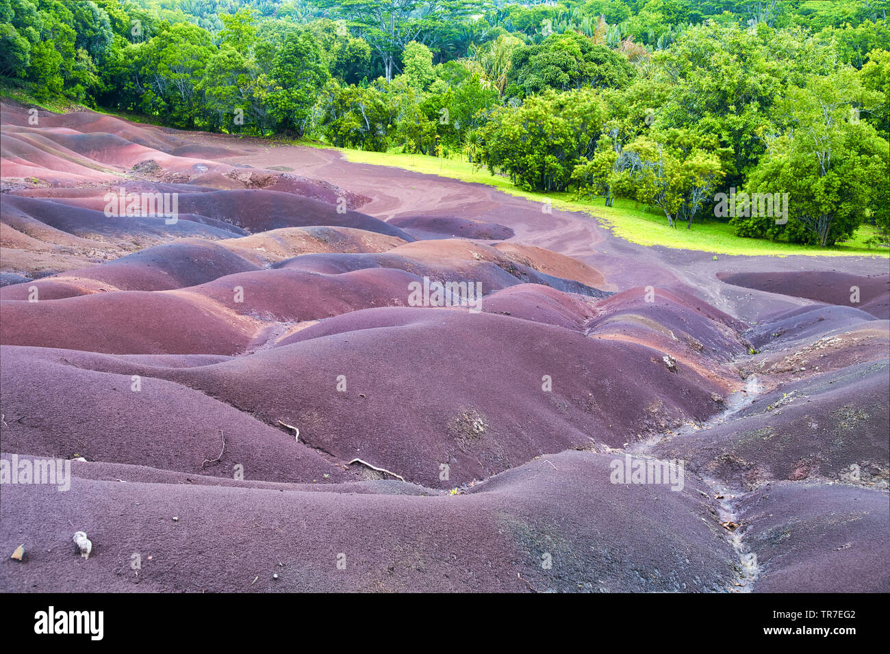 Sette terra colorata su Chamarel, isola Maurizio. Foto Stock