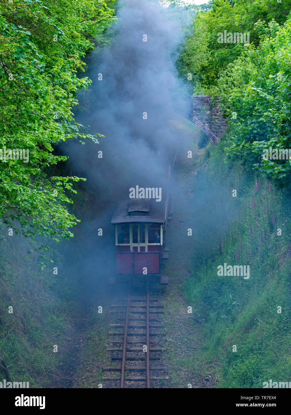 Treno a vapore e carrelli di scomparire nel fumo dal motore, Launceston Steam Railway, Cornwall, Regno Unito Foto Stock