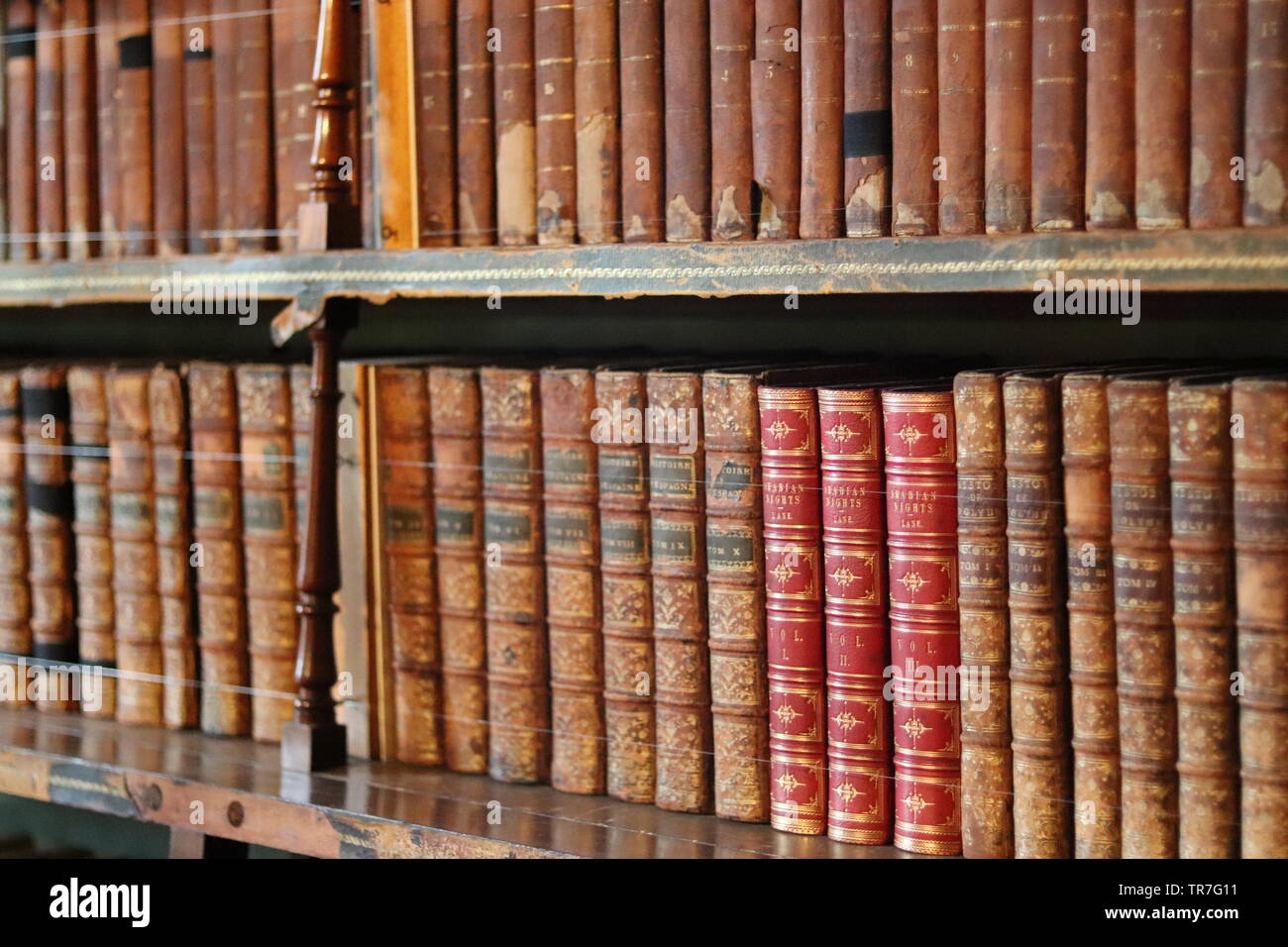 Fotografia della biblioteca di libri d'epoca prese a Brodsworth Hall Situato nel South Yorkshire. Foto Stock
