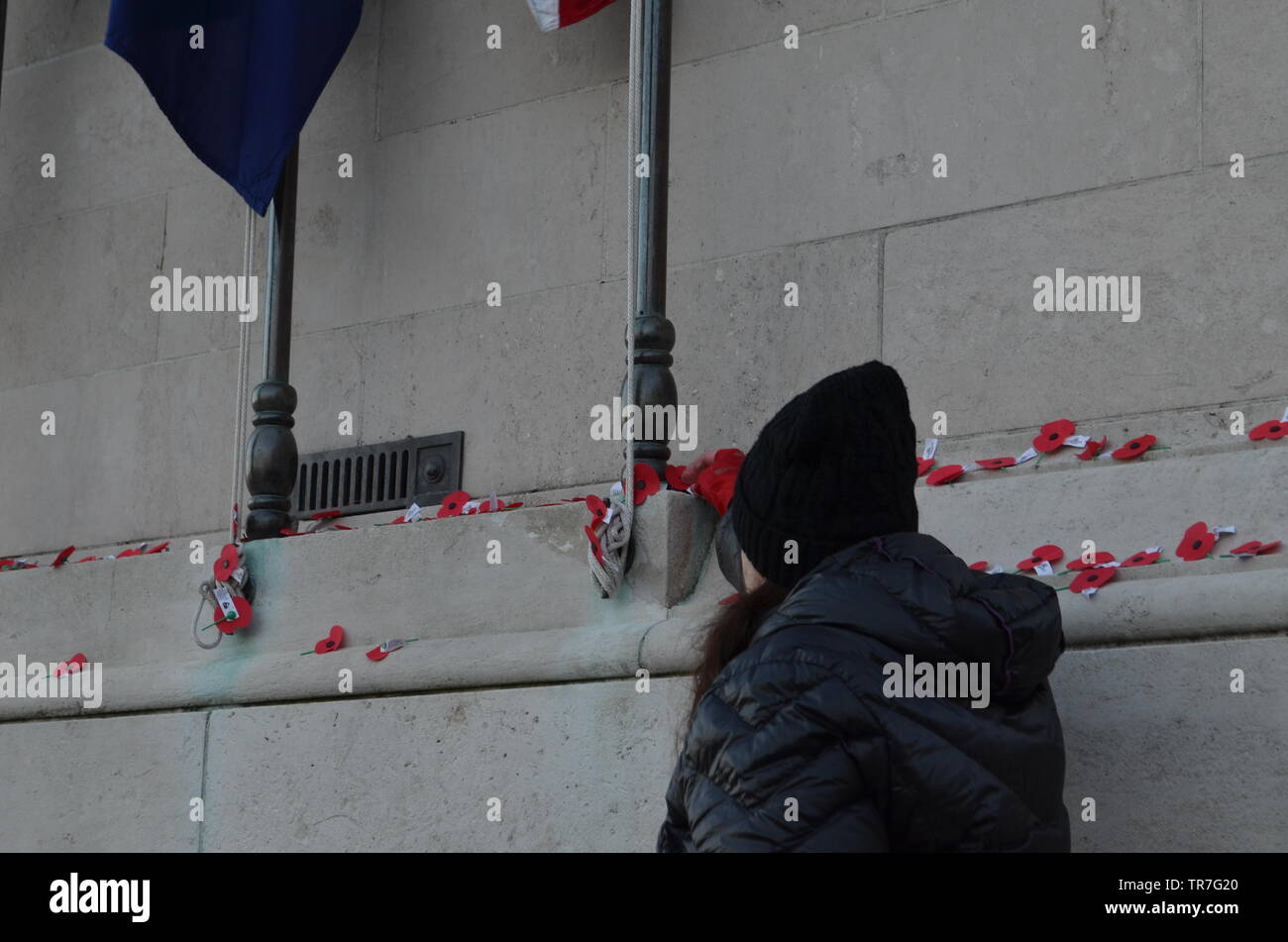 La donna posa di papavero rosso sul cenotafio in memoria su Anzac Day Foto Stock