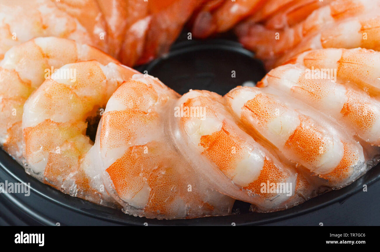 Freschi cocktail di gamberetti isolati su sfondo bianco / congelamento adibiti alla pesca di gamberetti Foto Stock
