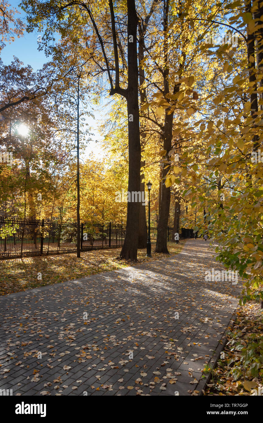 Park vicoli della città sul giorno di autunno caldo. Foto Stock