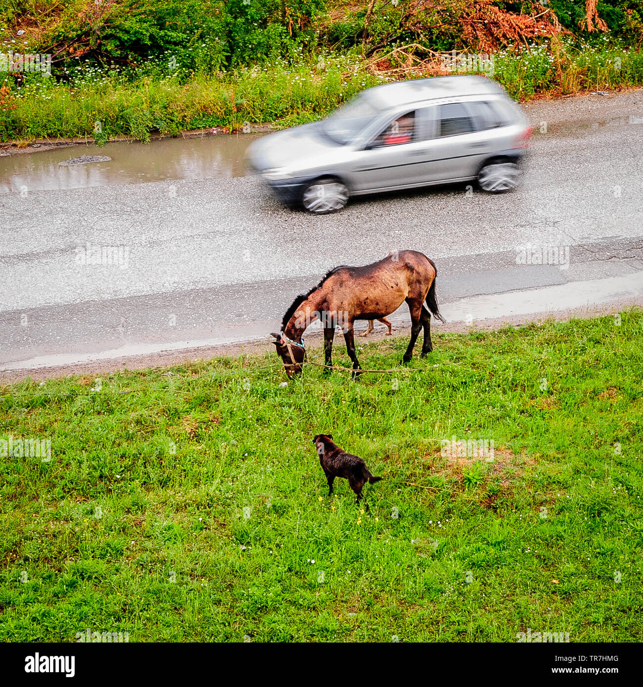 Sulla strada Foto Stock