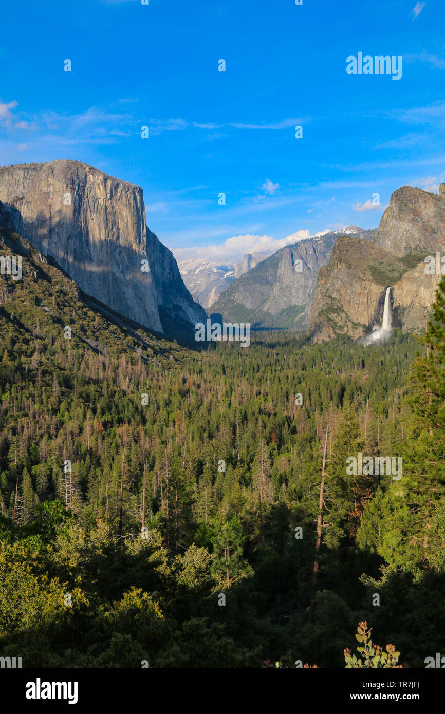 Yosemite stupefacente vista di tunnel - El Capitan, Half Dome & Bridalveil Fall Foto Stock