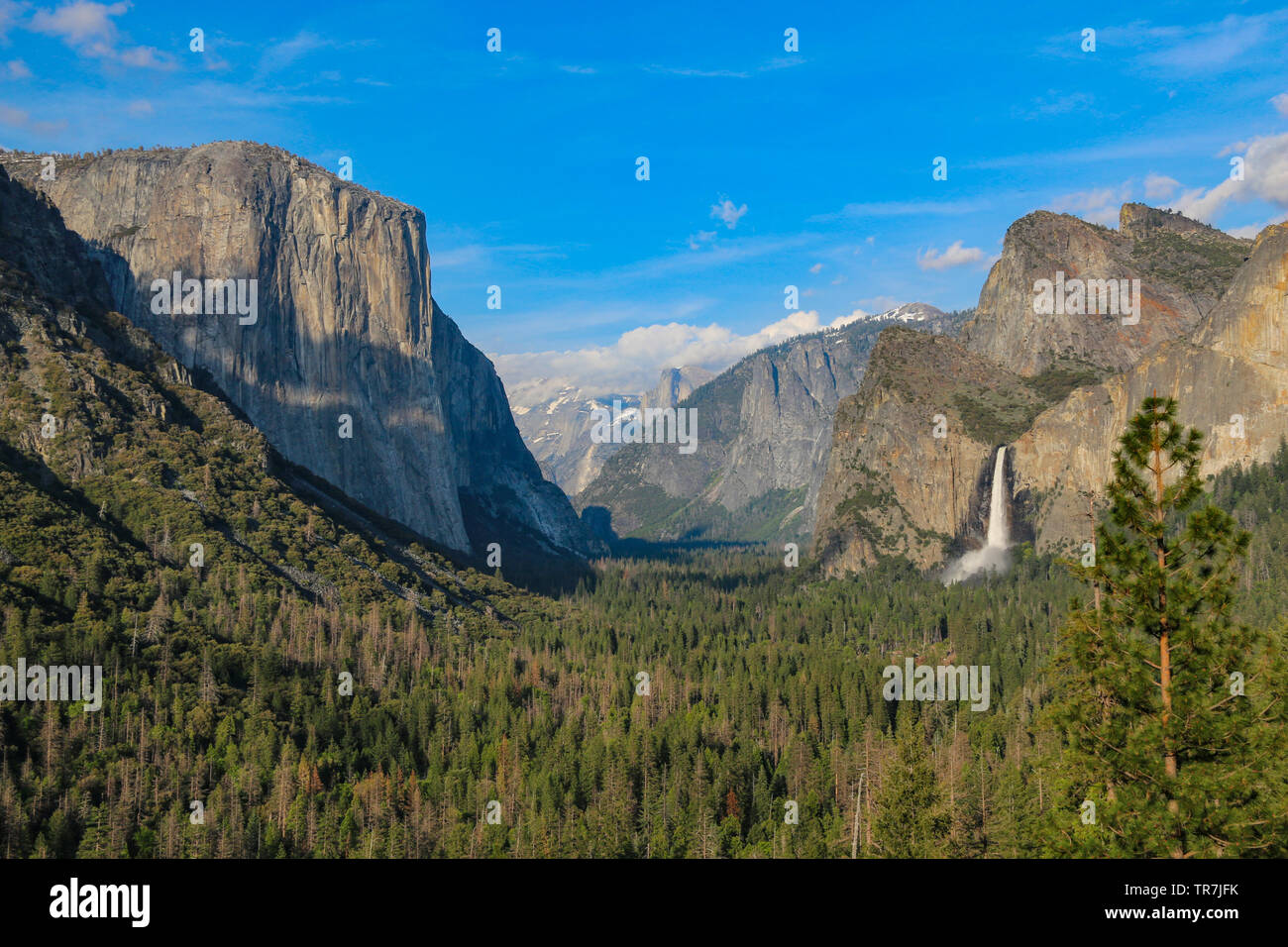 Yosemite stupefacente vista di tunnel - El Capitan, Half Dome & Bridalveil Fall Foto Stock
