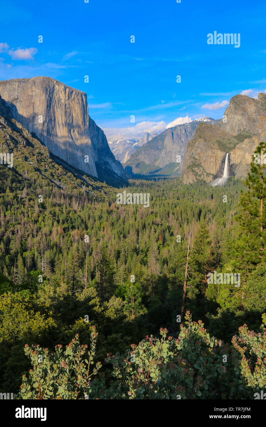 Yosemite stupefacente vista di tunnel - El Capitan, Half Dome & Bridalveil Fall Foto Stock