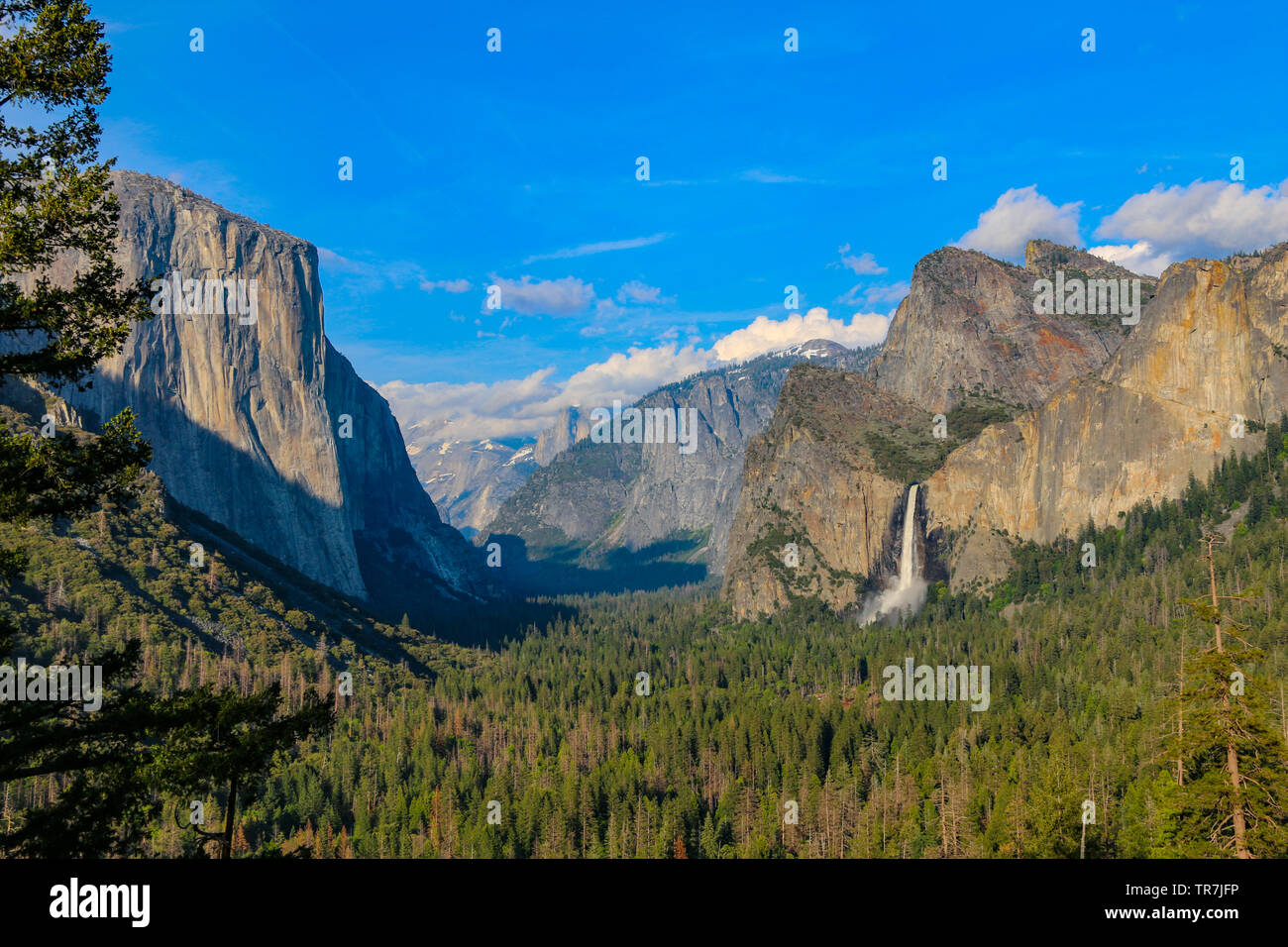 Yosemite stupefacente vista di tunnel - El Capitan, Half Dome & Bridalveil Fall Foto Stock