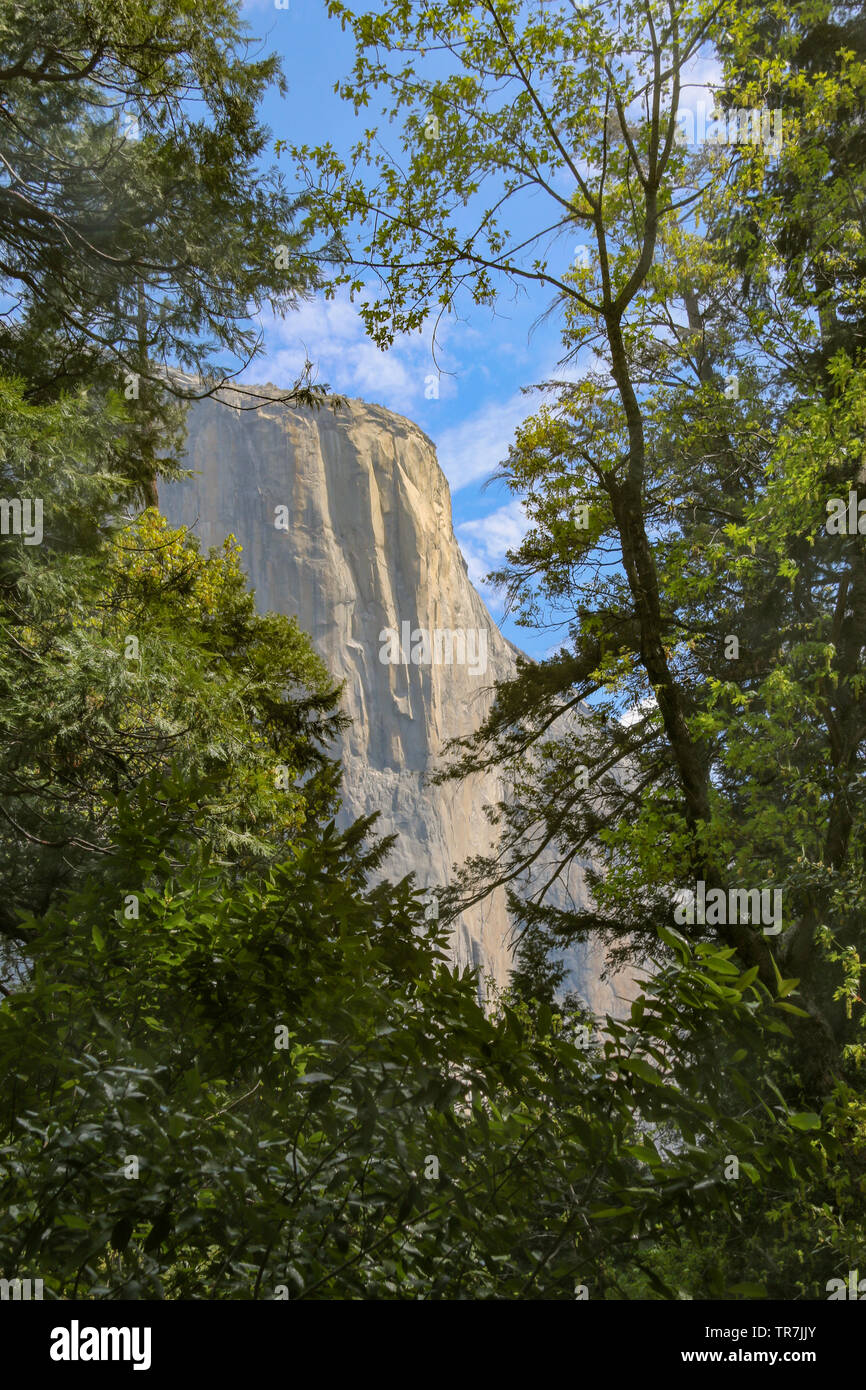 Magnifica El Capitan, il Parco Nazionale di Yosemite Foto Stock