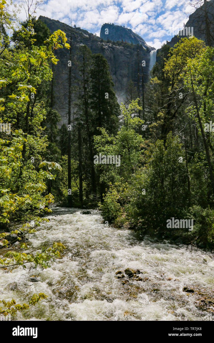 Assordanti cascate Bridalveil e Forest Mist, del Parco Nazionale Yosemite in California Foto Stock