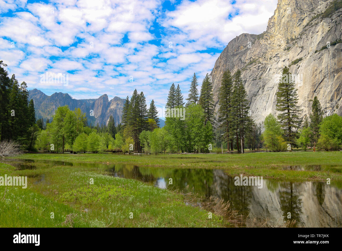 Bella valle di Yosemite e prato, il Parco Nazionale Yosemite in California Foto Stock