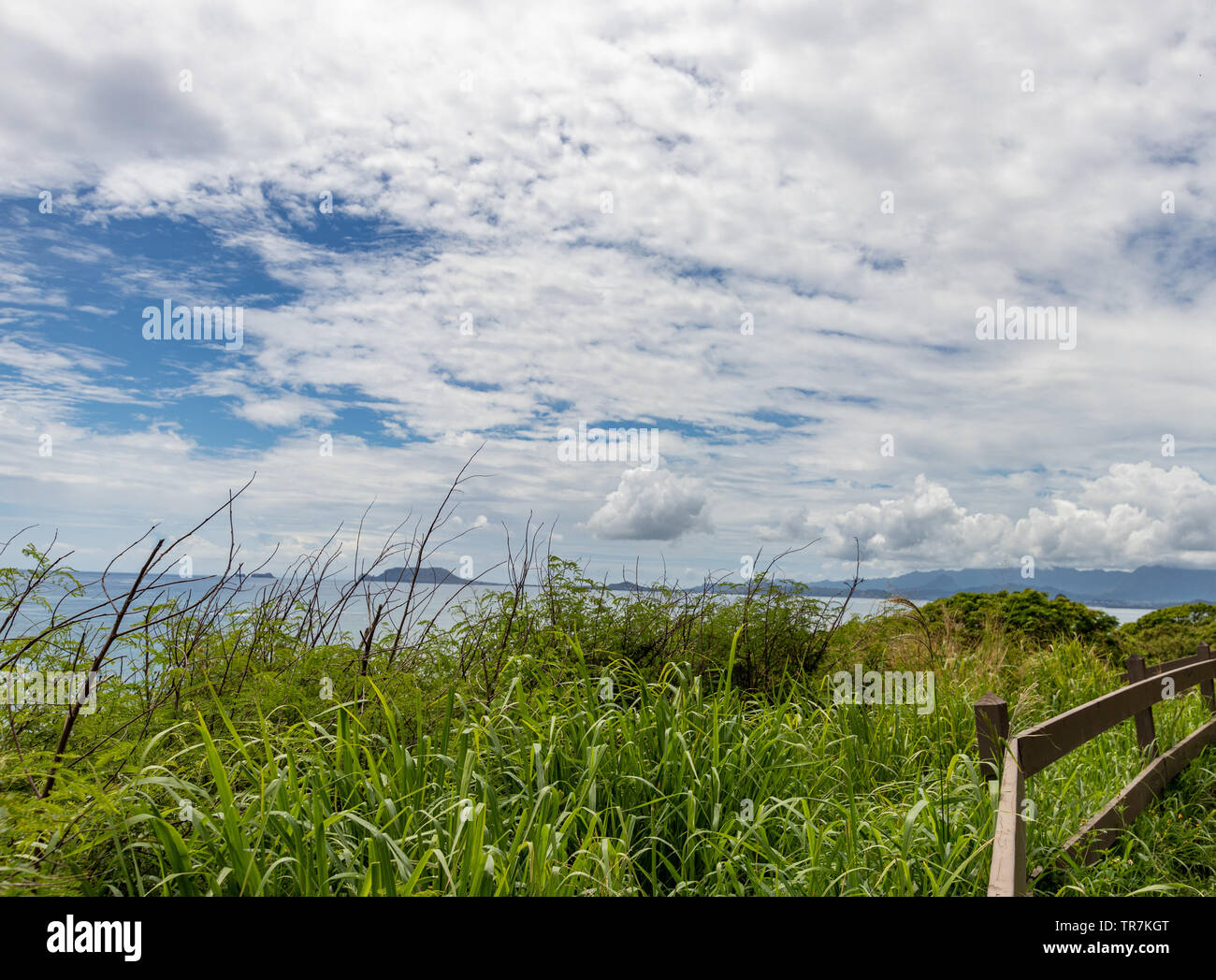 La splendida vista dal tour ATV a Kualoa Ranch di Oahu Foto Stock