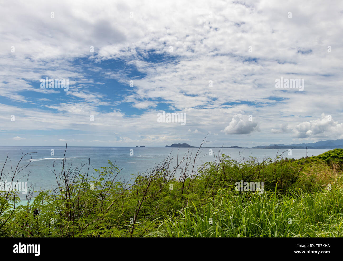 Guardando fuori sull'oceano da Kualoa Ranch Foto Stock
