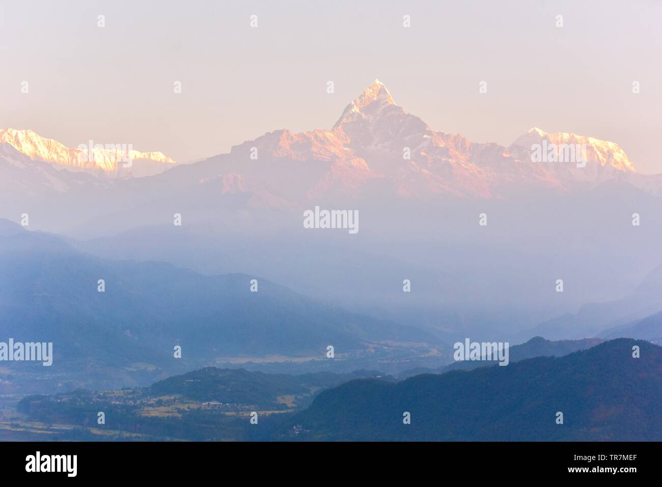 Mt. Machapuchare o coda di pesce in montagna l'Annapurna Himalaya in Nepal Foto Stock