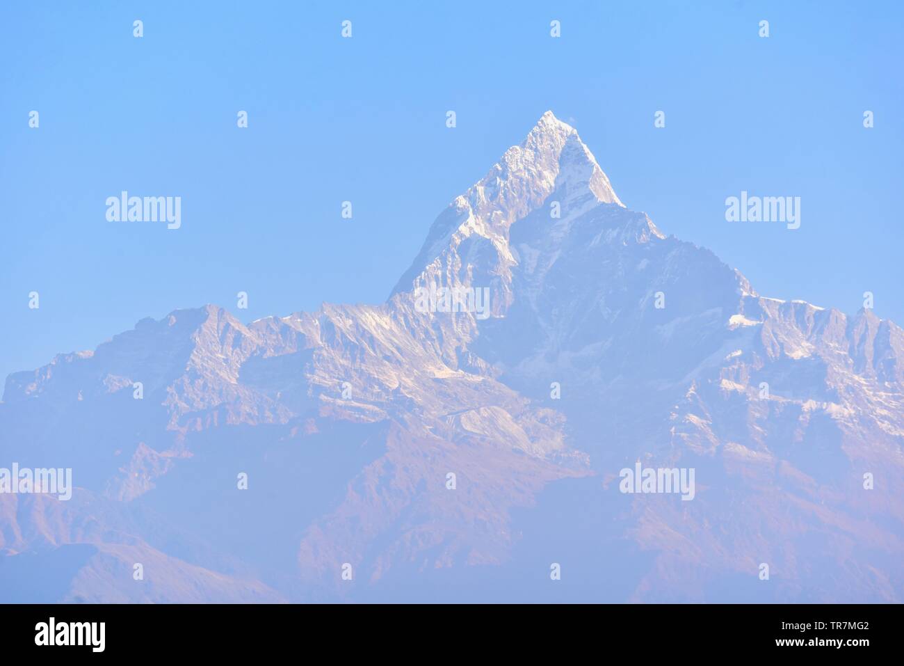 Mt. Machapuchare o coda di pesce di montagna, la montagna sacra dell'Himalaya Foto Stock