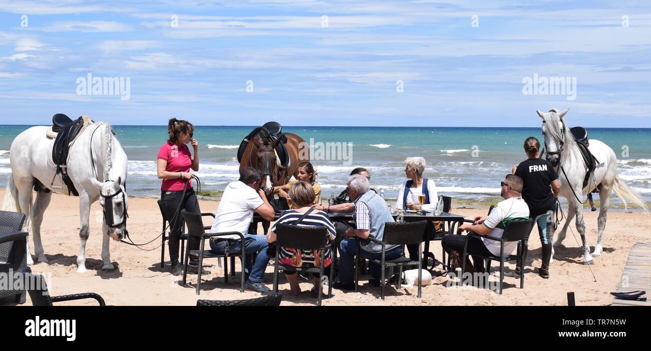 I piloti a cavallo sulla spiaggia La Mata Spagna Foto Stock
