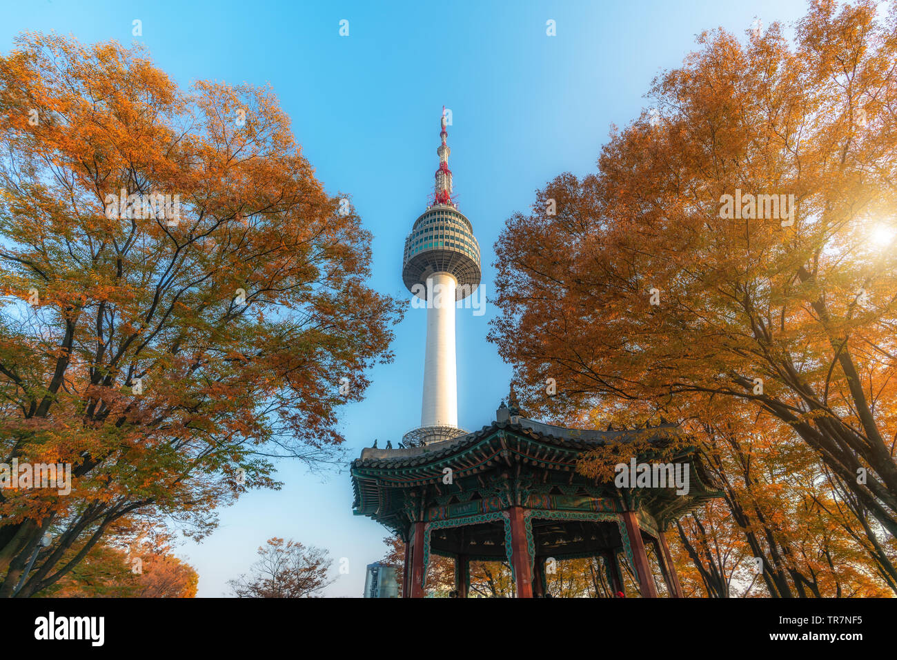 Torre di Seoul con il rosso e il Giallo autunno foglie di acero di monte Namsan in Corea del Sud. Foto Stock