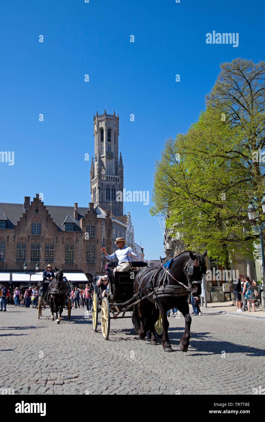 Bruges, cavallo e carrozza sightseeing city tour, Belgio, Europa Foto Stock