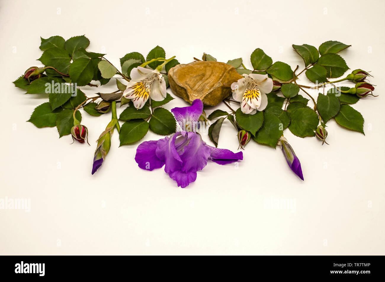 Un bel pezzo di travertino con un fiore di iris sui lati Alstroemeria fiori con rosebuds rosso con foglie sui rami e iris gemme su un Foto Stock