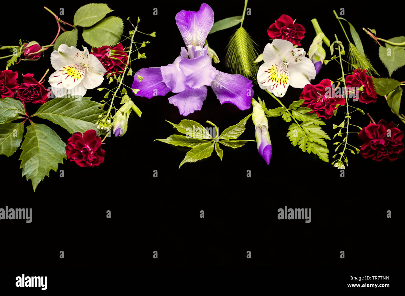 Sfondo nero con un gruppo di brillanti colori,piccole rose, alstroemeria,iris viola,l'uva selvatica di foglie e di diverse erbe di campo Foto Stock