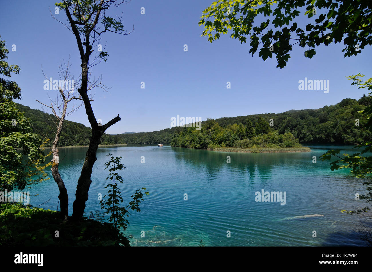 Plitvitce laghi, Croazia Foto Stock