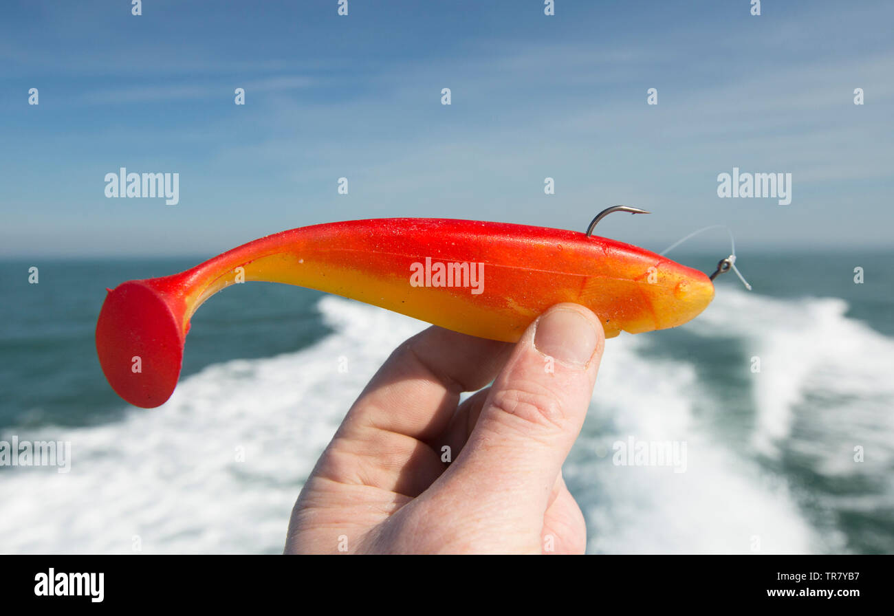 Gamakatsu Octopus Hook Size 8 Red 25 Per Value Pack 02306-25 Versatile - Foto 11