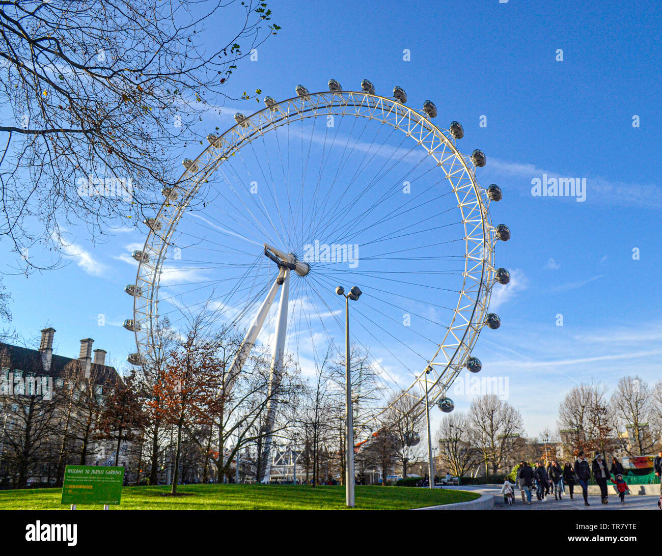 Il London Eye, noto anche come il Millennium Wheel, è la più alta ruota panoramica Ferris in Europa con una altezza di 135 metri. Situato nel centro di Londra. Foto Stock