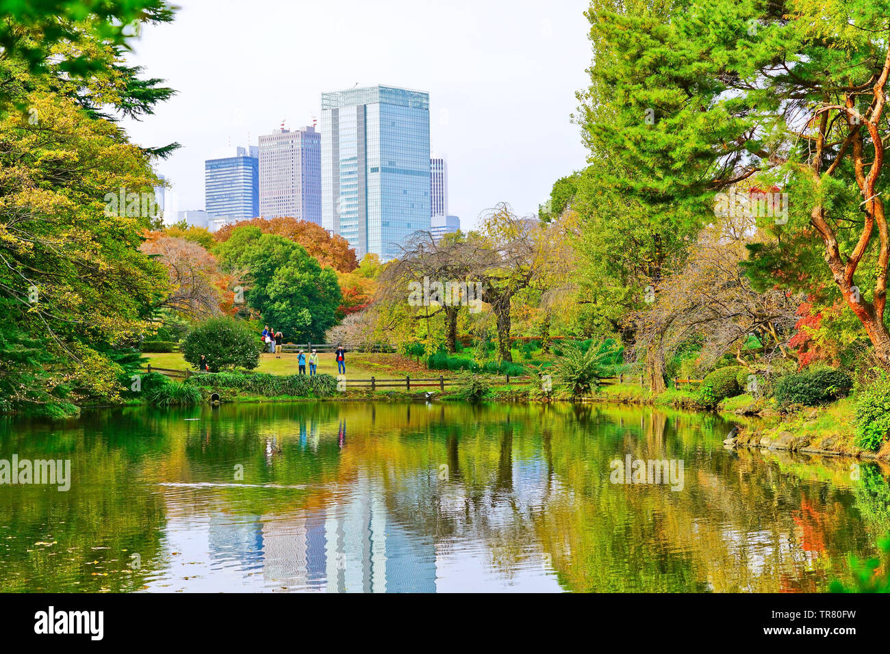 Vista del bel giardino con alberi colorati in autunno a Shinjuku Gyoen Giardino a Tokyo in Giappone. Foto Stock