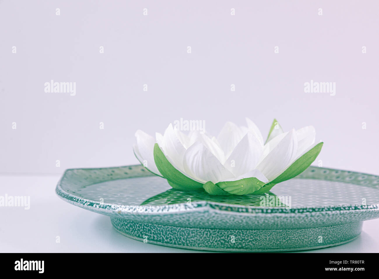Bianco fiore di loto in una ciotola verde Foto Stock