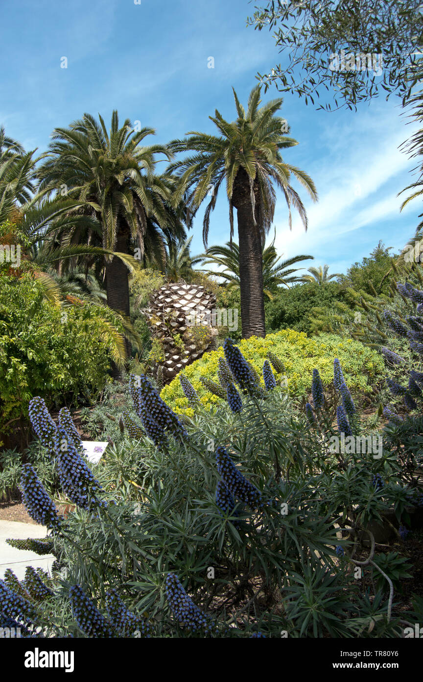 Impianti presso l'Jardí Botànic de Barcelona, Barcellona, Spagna Foto Stock