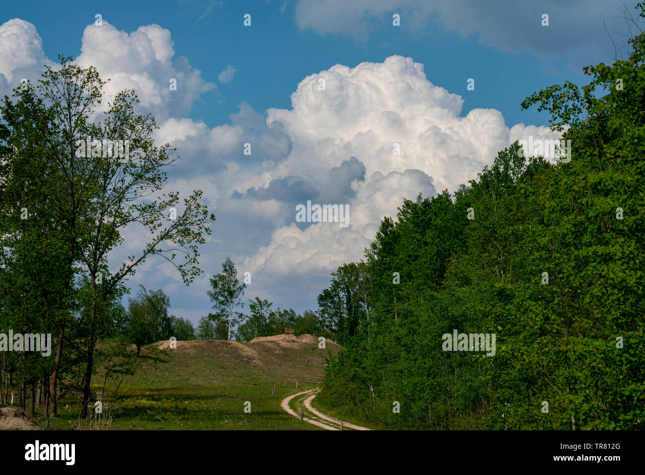 Drammatica nuvole bianche su un cielo blu su un bellissimo paesaggio in una riserva naturale in Brandenburg Foto Stock