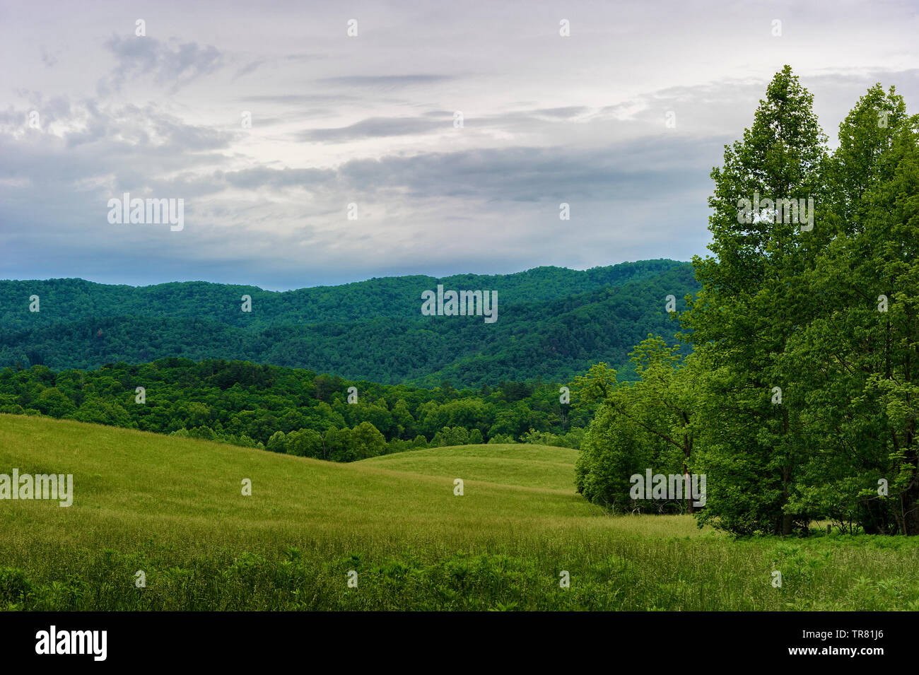 Vista di Cades Cove Valley in Smoky Mountains del Tennessee orientale Foto Stock